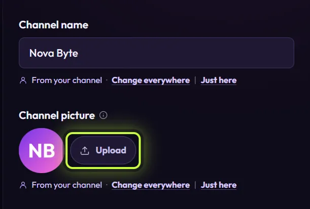 The Channel name and Channel picture fields, with a ring around the Upload button next to the NB picture